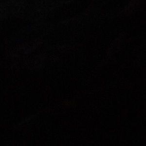 Meet your Posher, Asha